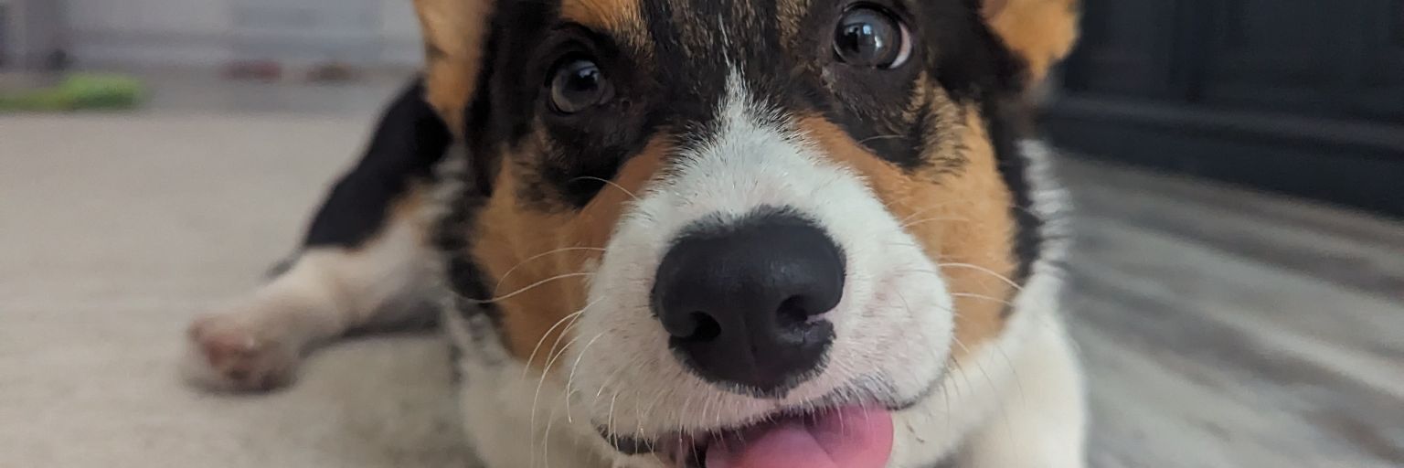 chandlerjo_'s profile banner image