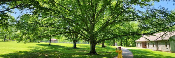 selotus Profile Banner