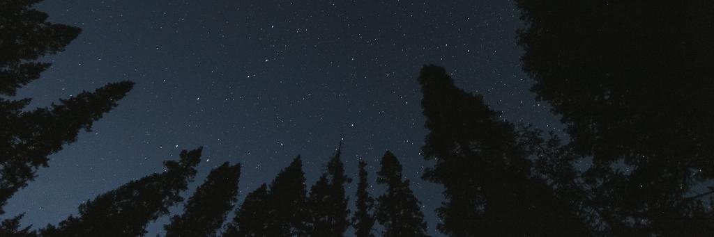 Lisa_mulan's profile banner image