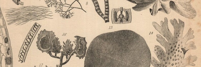 _aikele's profile banner image
