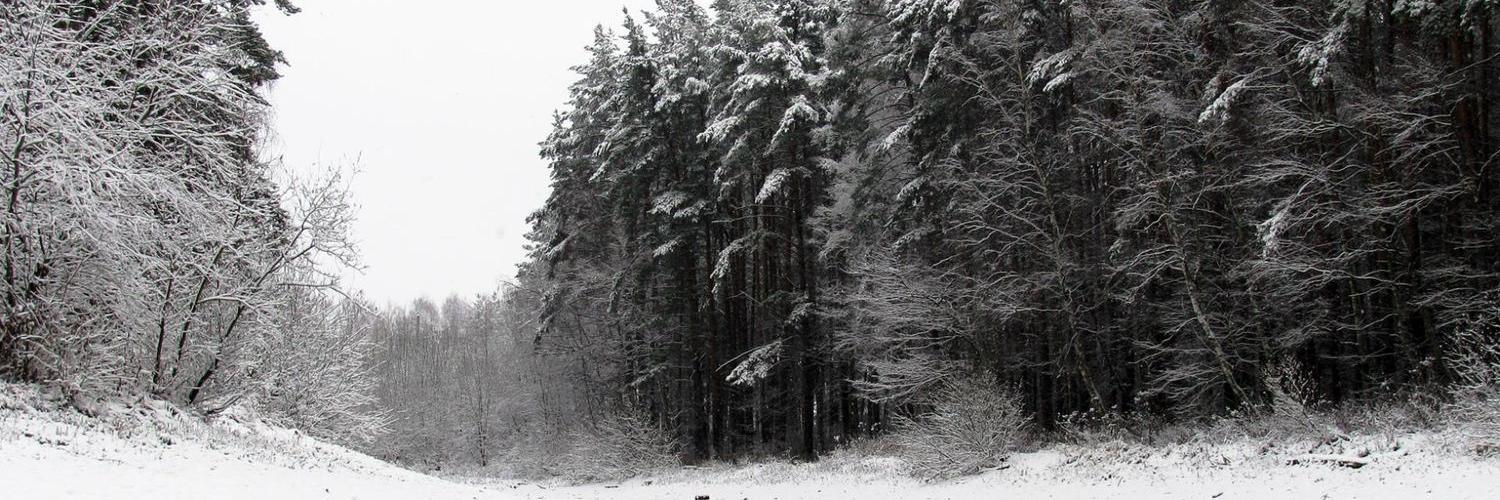 neutral_pixie's profile banner image