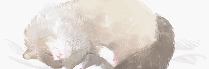 a8_mls's profile banner image
