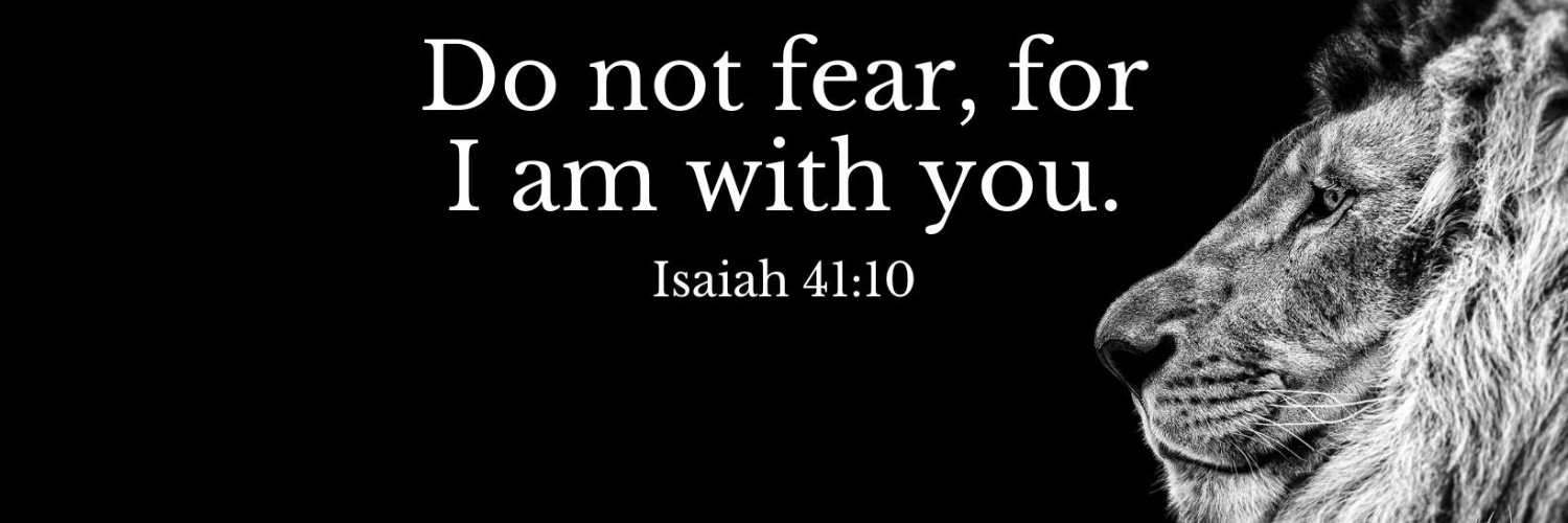 Miami Naturopathic Doctor Randi Shannon banner