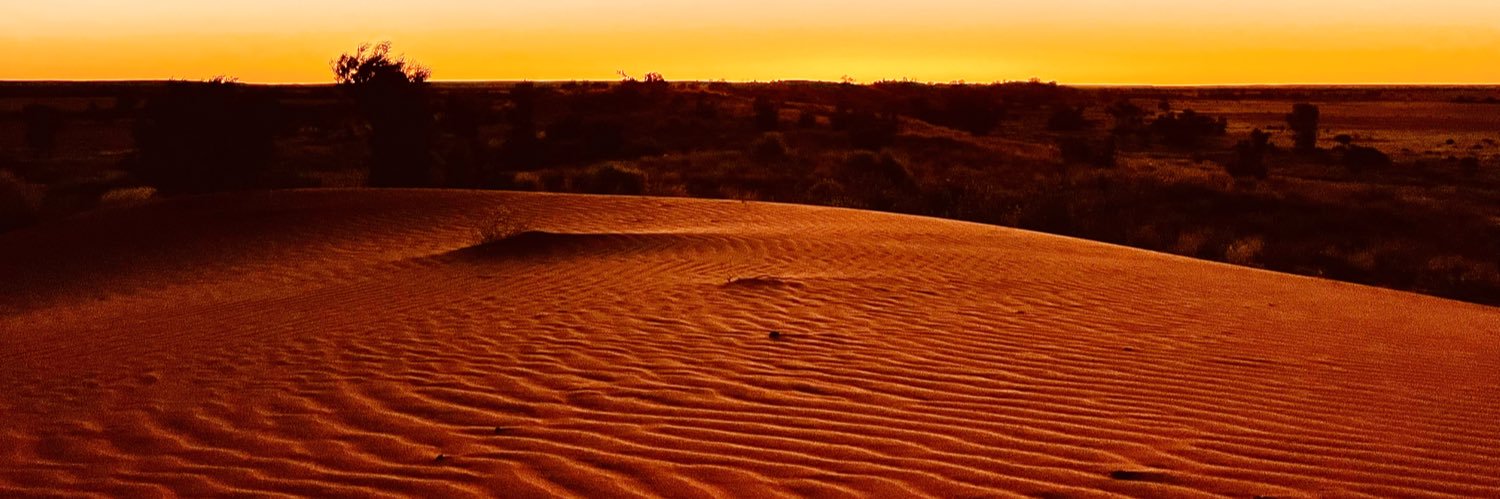 Guy Schweitzer banner