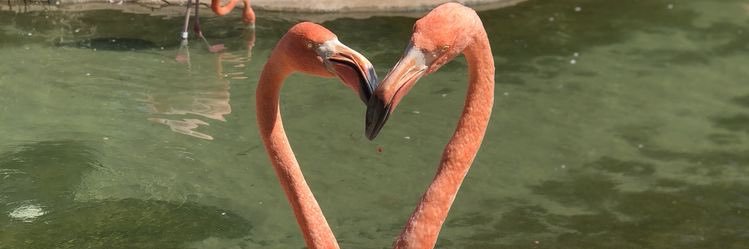 urlittlebeb1's profile banner image
