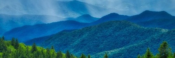 JoniBallardX Profile Banner