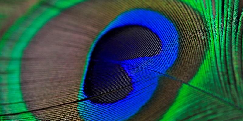 fulcherk's profile banner image