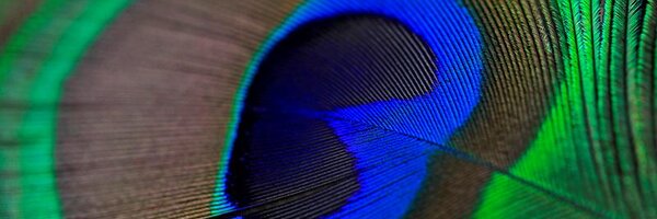 fulcherk Profile Banner