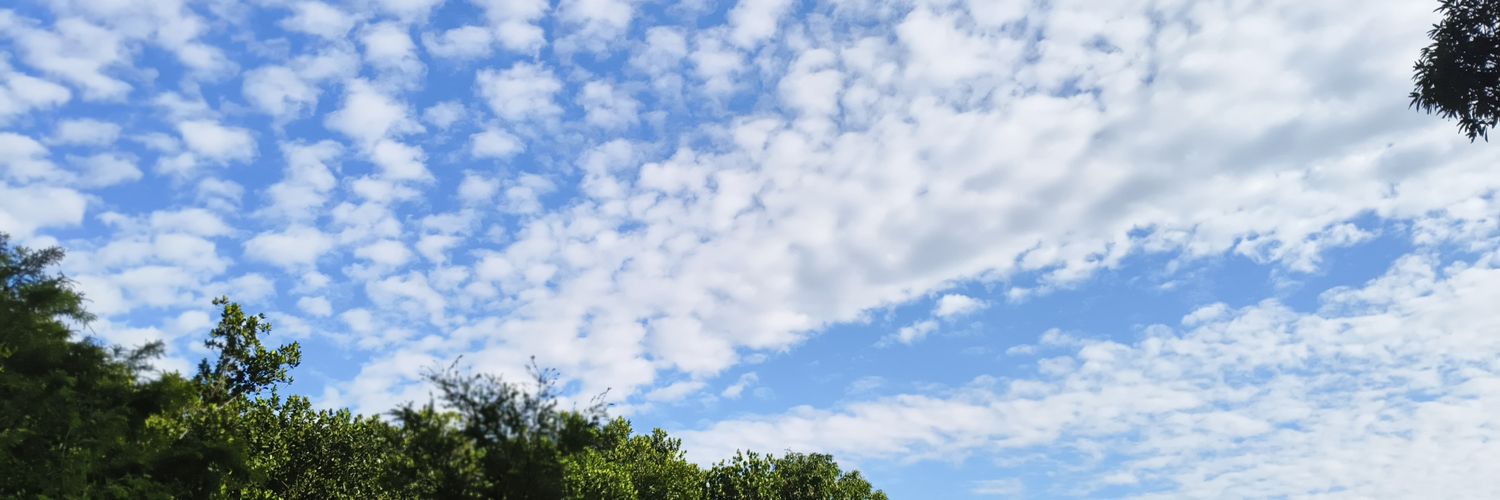 Shamim Darzee banner