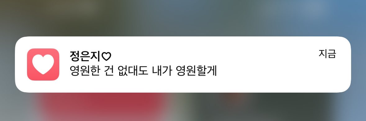 ◡̈ 새알옹시미♡ banner