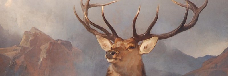 Baz banner
