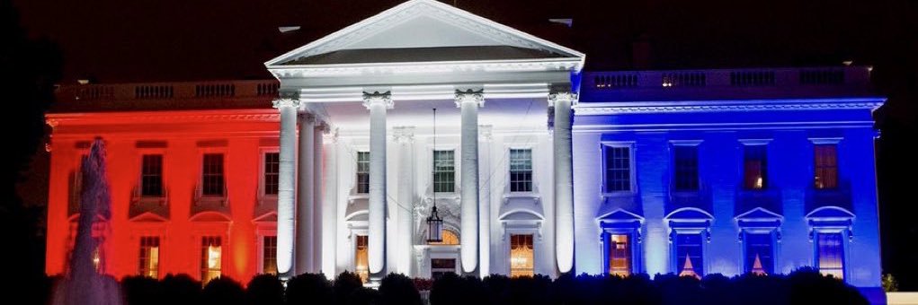 into the rabbit hole🫠🍀 banner