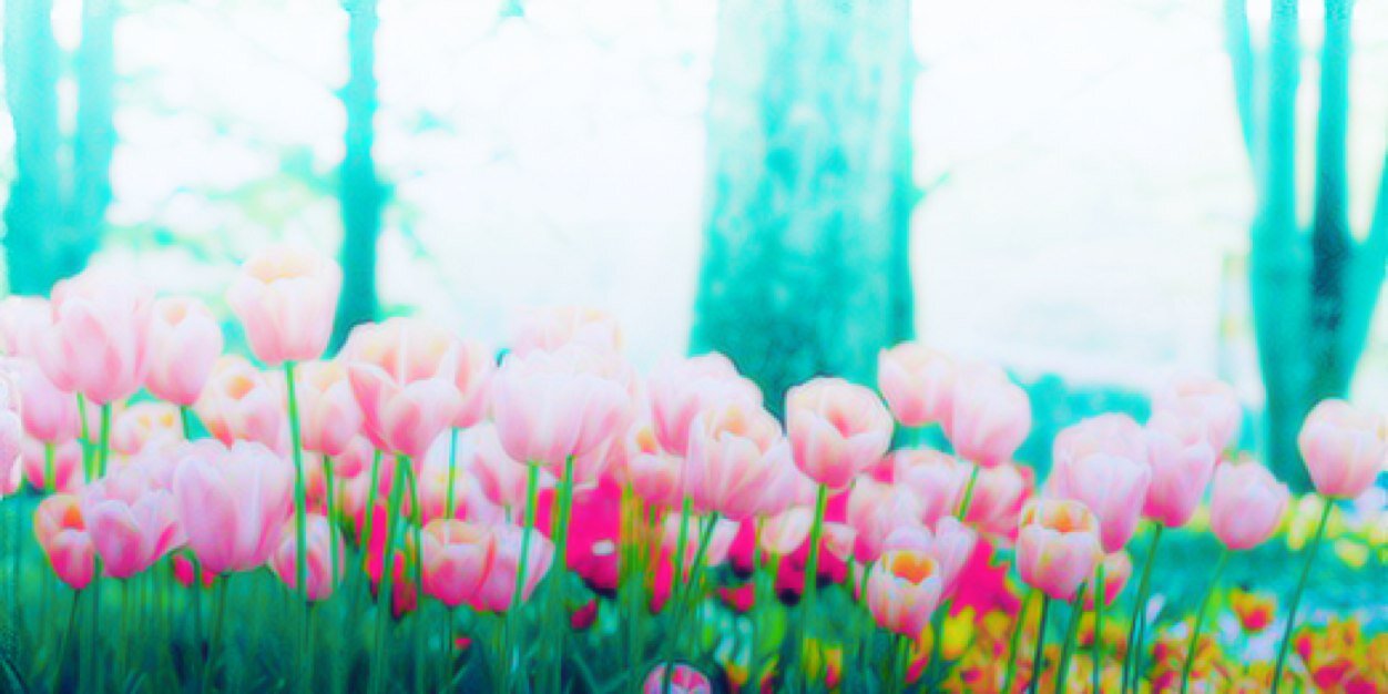 hey_lovatics's profile banner image