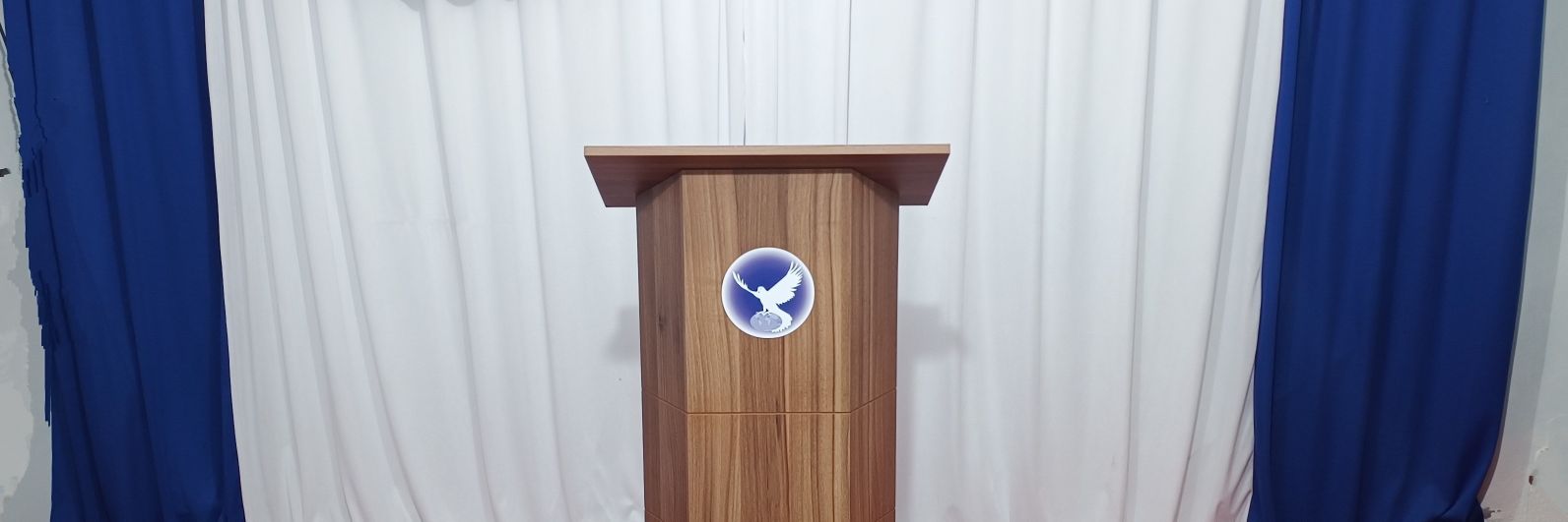 Silvana Hanada banner