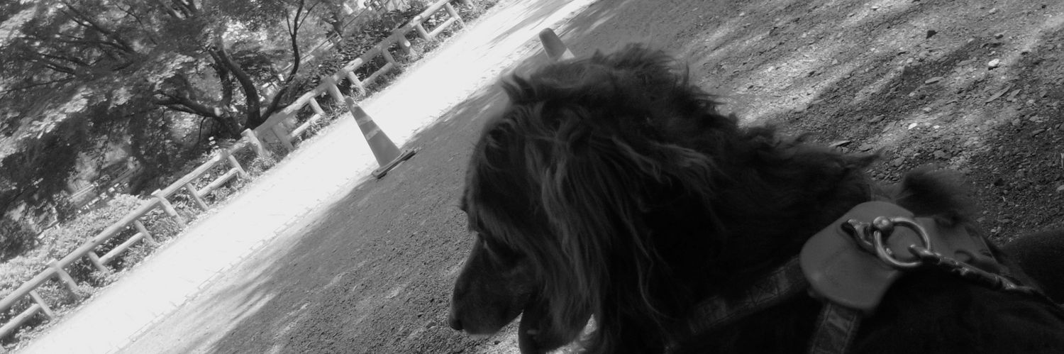 ZEAS888's profile banner image