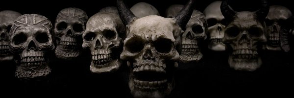 Cowsfakes Profile Banner