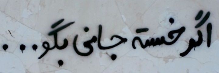 m.s.s banner