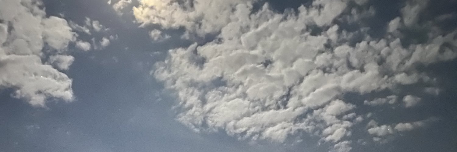 Andrés Napurí banner