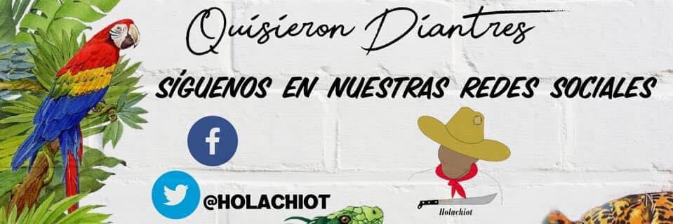 HolachiotTab's profile banner image