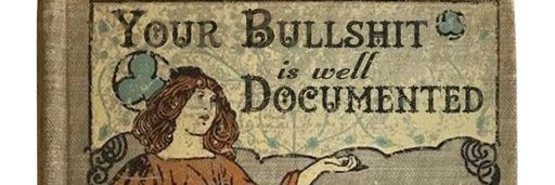 Sarah Snyder Trusts The Plan banner