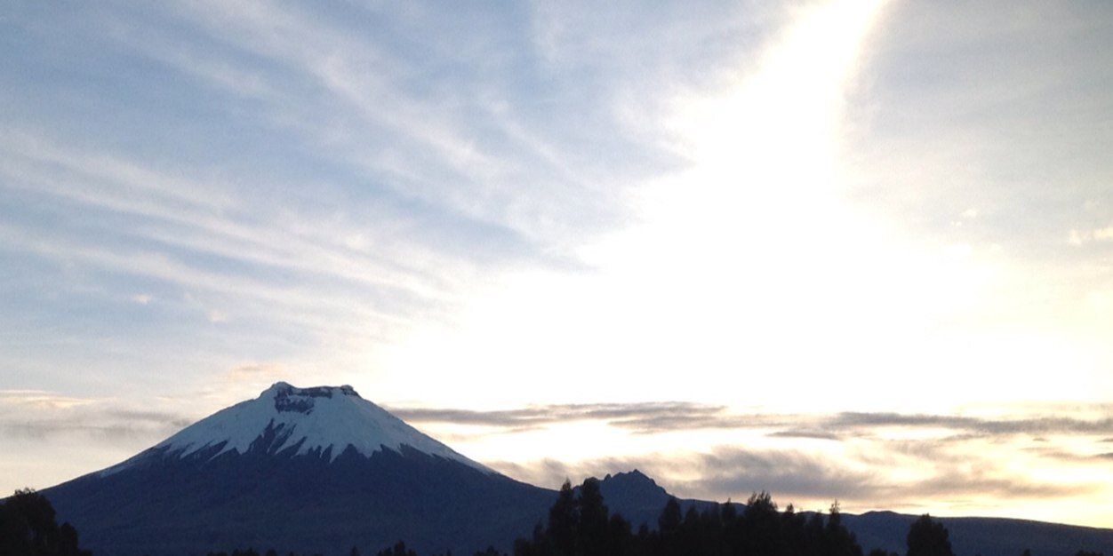 rintantan1's profile banner image