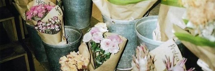wie apa aja boleh banner