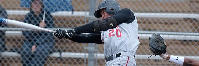 Danmark Softball banner
