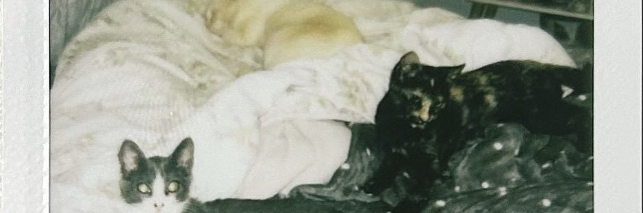 Drilly_'s profile banner image