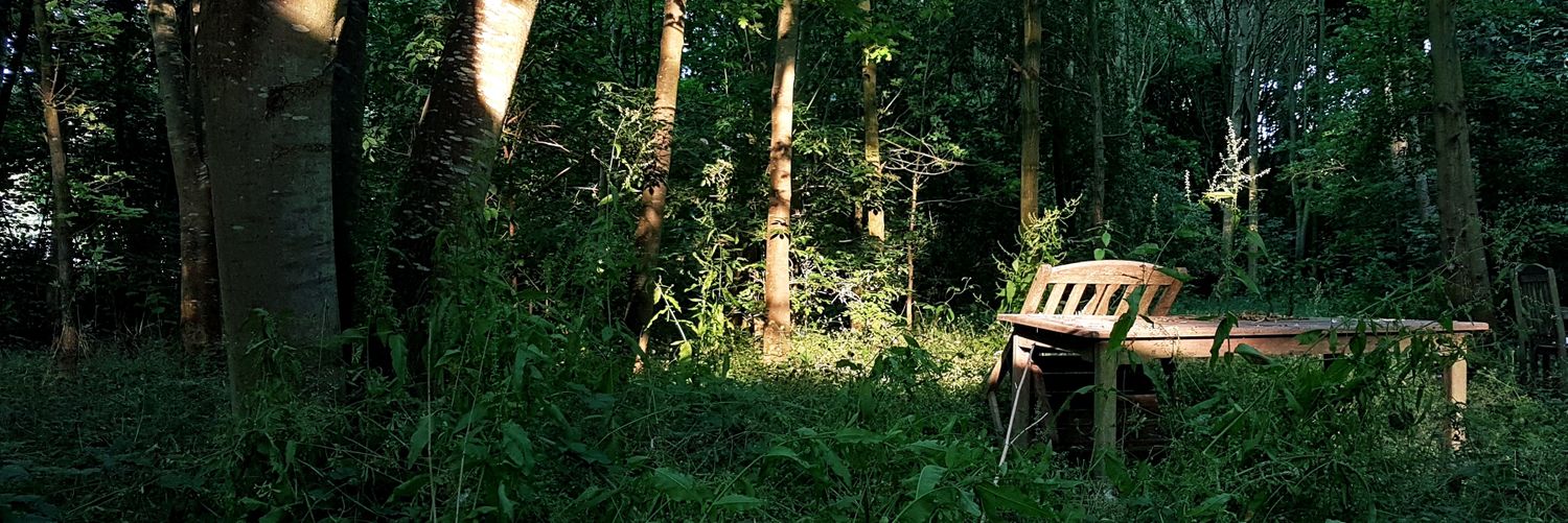 Marta Dobrowolski banner