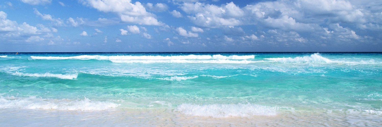 Staycocoabeach's profile banner image
