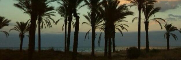 Rebeca Guillen banner