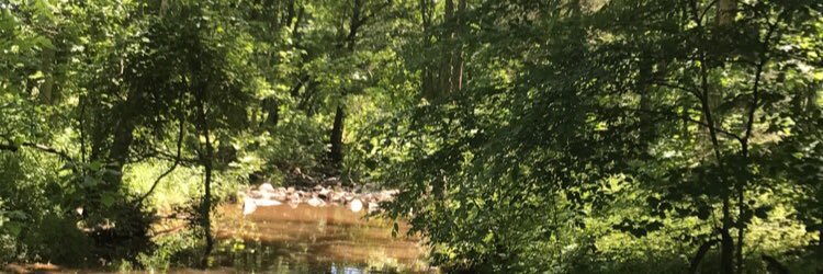 ChetBeef's profile banner image