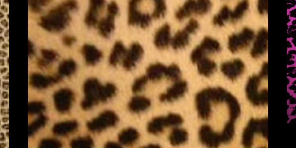 niccc_nic's profile banner image