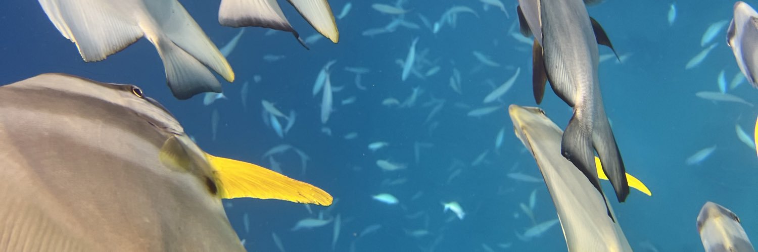 fakemedstud's profile banner image