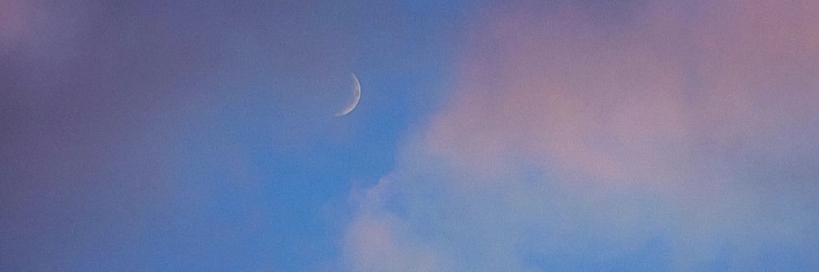 Lisa 🐞🇺🇸 banner