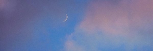 lis71206 Profile Banner