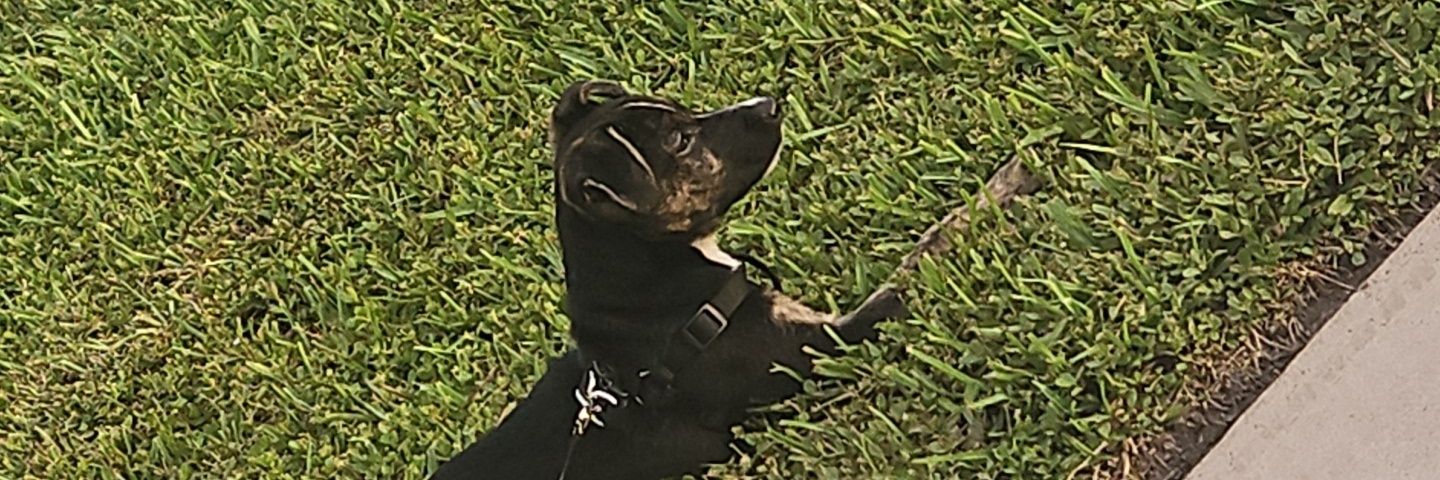 Koxyy568's profile banner image