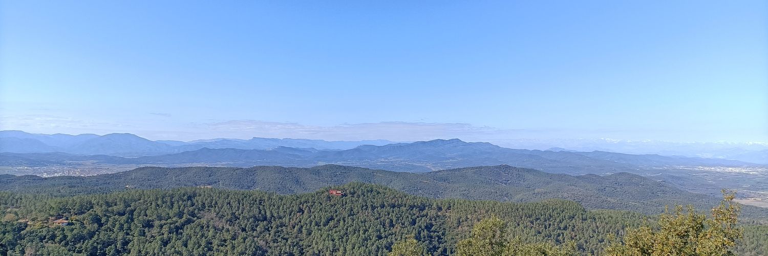 SONIA SUREDA  banner