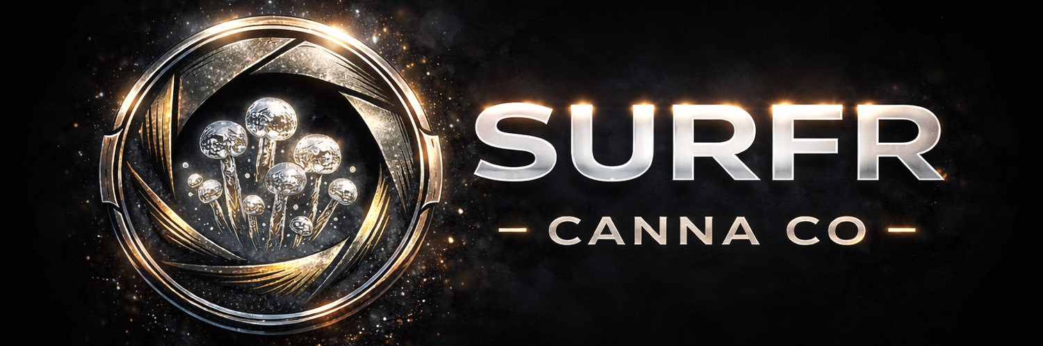 Surfr banner