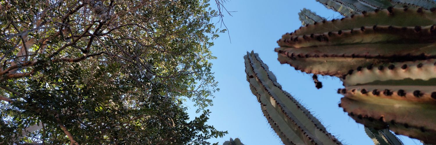 LeVillano92's profile banner image