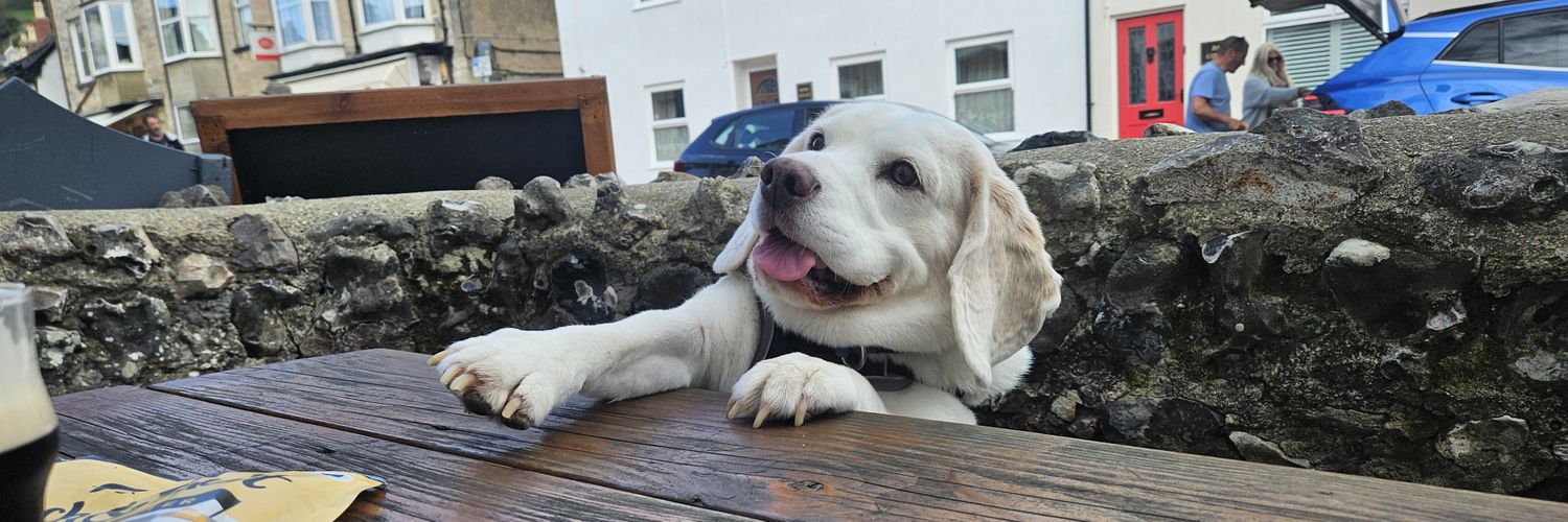 Andy Kowalski banner