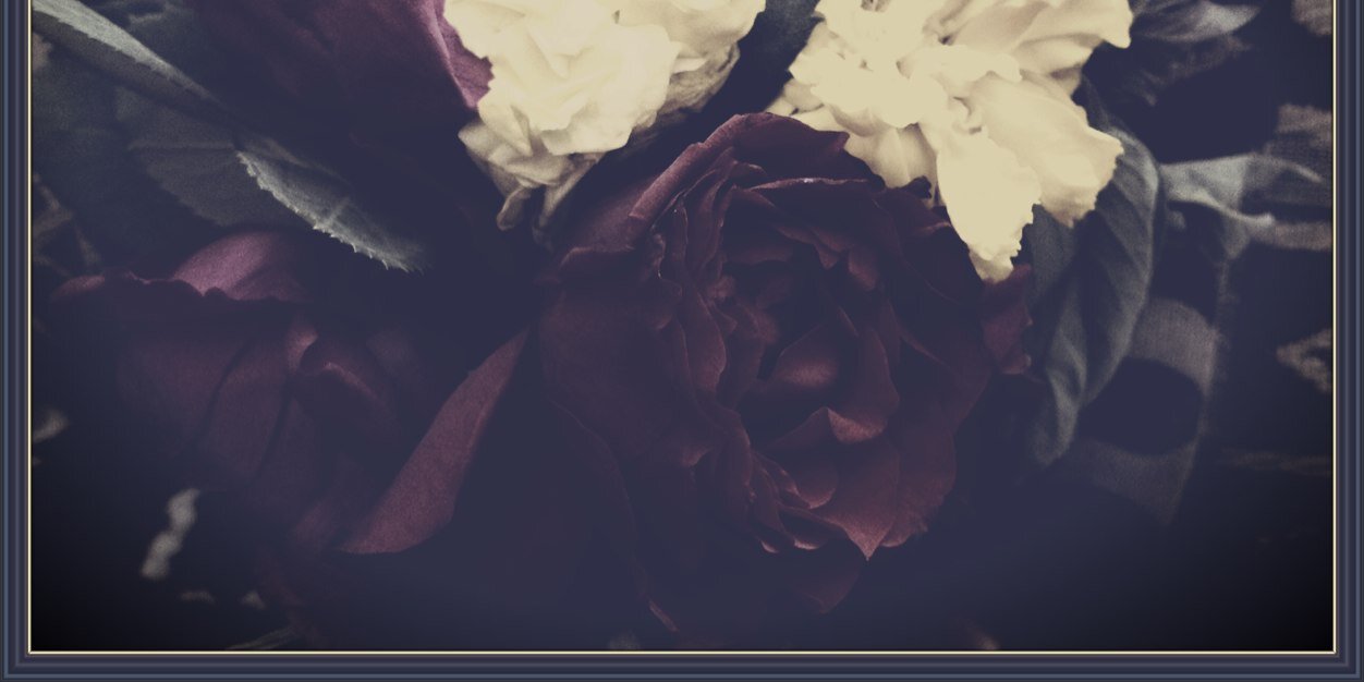 nadosh768's profile banner image