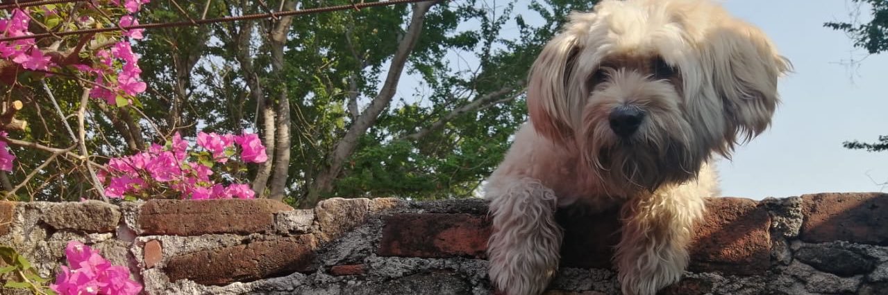 Friglezz_'s profile banner image