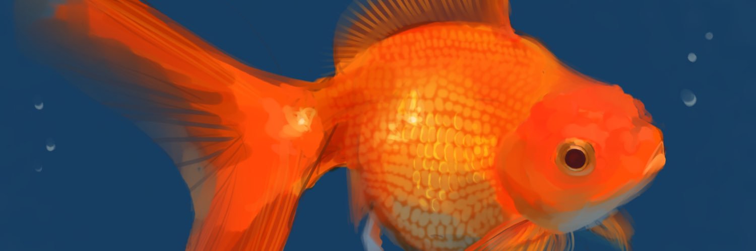 megan 🌊's banner