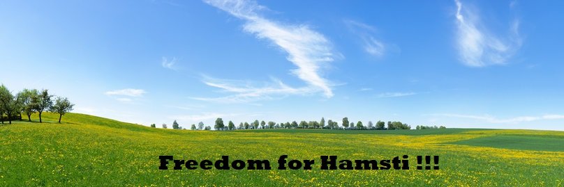 X-Hamsti banner