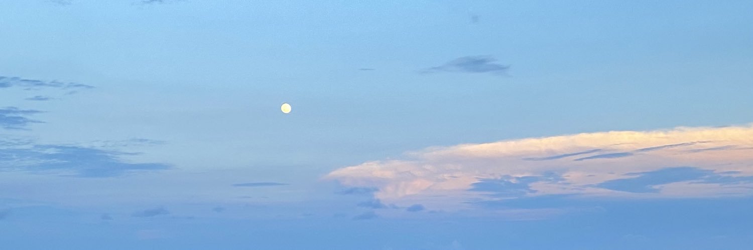 reginaclarabllf's profile banner image