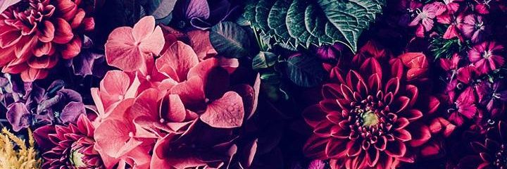 Luuuu_Juarez's profile banner image