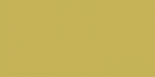 The Colonial Shop banner