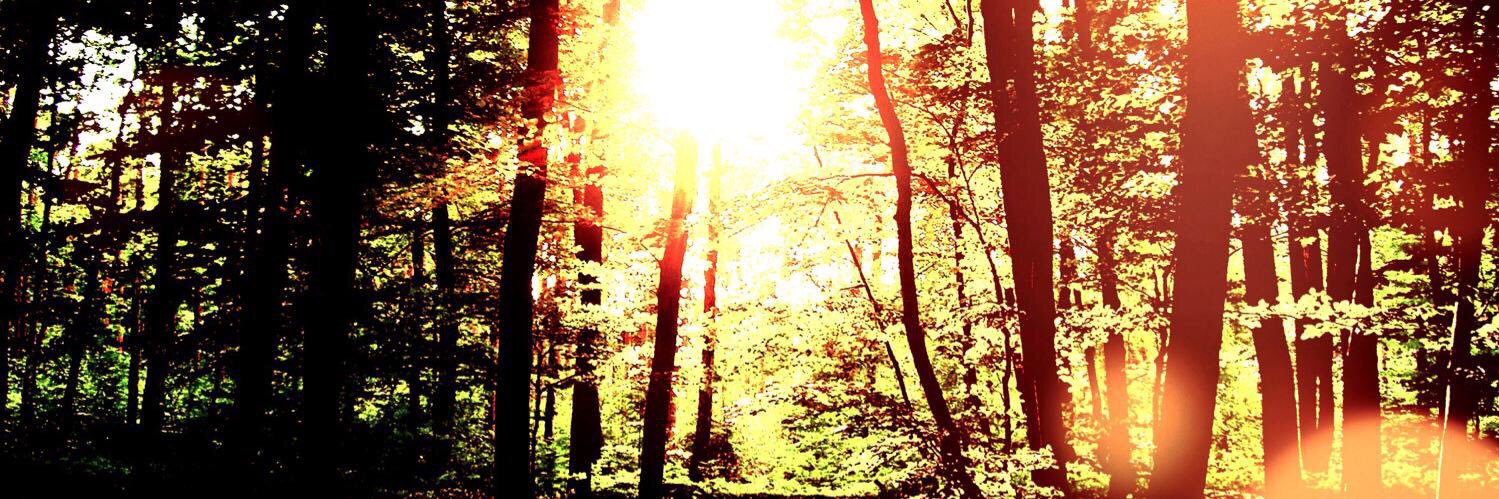 Meingeneral's profile banner image