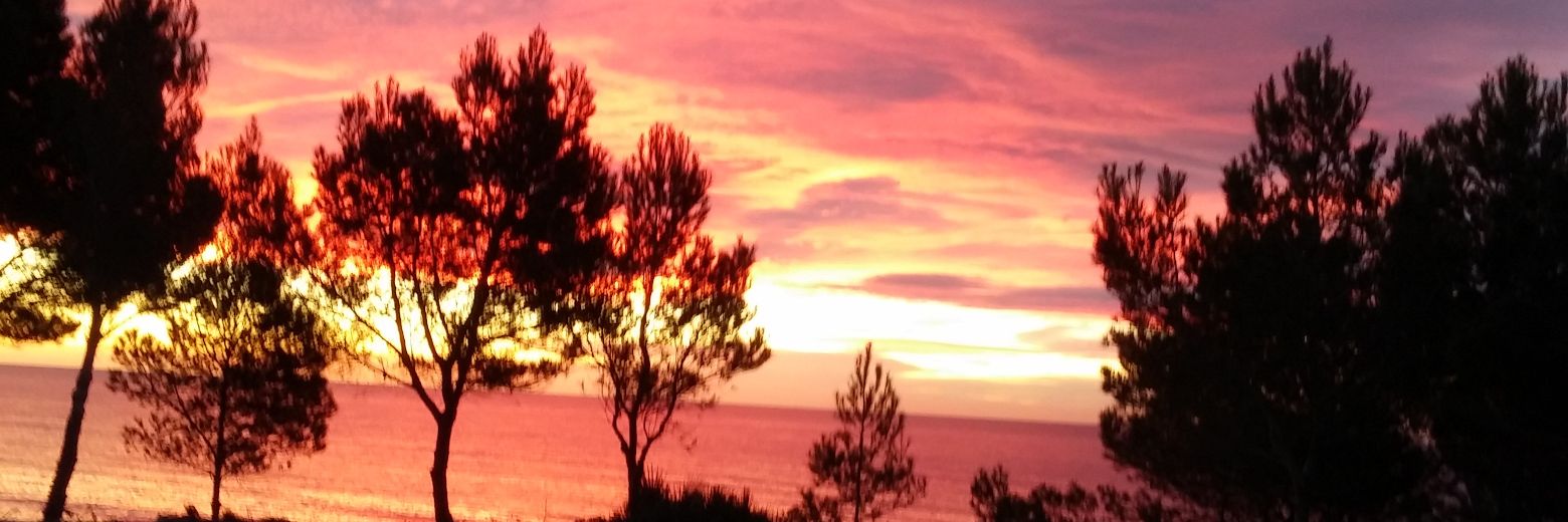 david_dg11's profile banner image